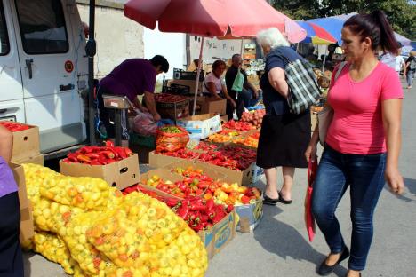 ajvar-paprike-jagodina-foto-tanjug-dusan-anicic-9.jpg