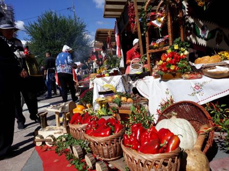 osim-paprika-bilo-je-puno-domacih-djakonija-foto-lj.vukotic.jpg