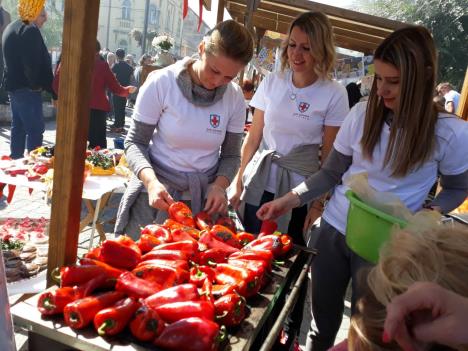 ekipa-doma-zdravlja-krusevac--osim-sto-lece-ljude-prave-i-odlican-ajvar-foto-lj.vukotic.jpg