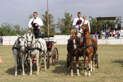 srecko-najmanji-konj-na-svetu-foto-fijakerijada-surduk-2.jpg