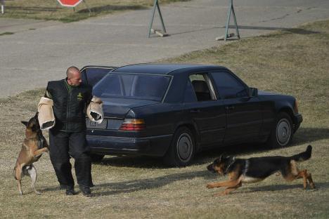 vojna-policija-vek-pobednika-foto-ministarstvo-odbrane-4.jpg