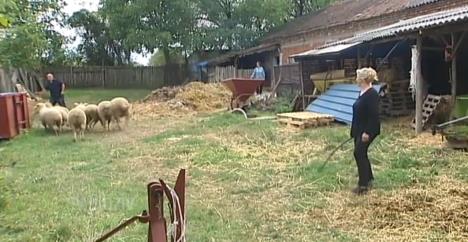 slavica-mirkovic-ovce-foto-youtube-pt-exlopoziv-555.jpg