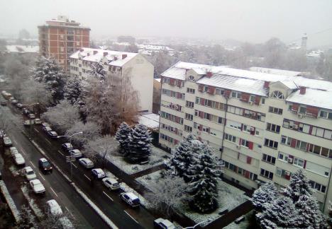 loznica--belo-jutro-na-nula-stepeni.jpg