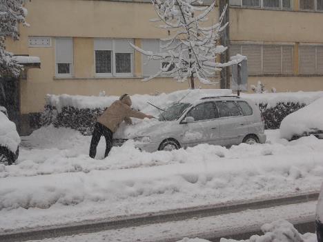 loznica--otrpavanje.jpg