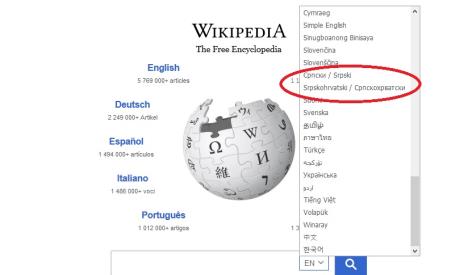 wiki.jpg