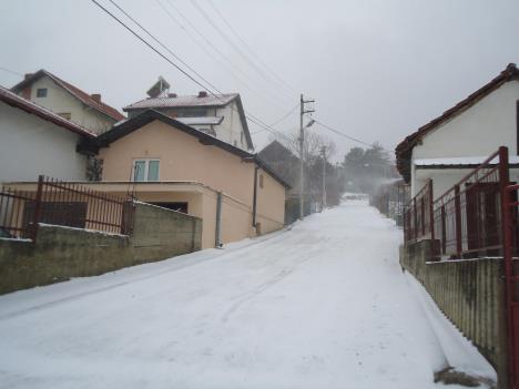dsc03033.jpg