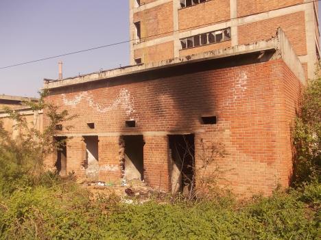 loznica--tu-su-bila-burad.jpg