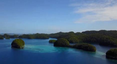 palau-foto-youtbe-pt-2.jpg
