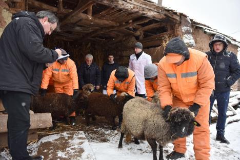 jasenovik-evakuacija-cisterna-amonijak-foto-tanjug-dimitrije-nikolic-4.jpg