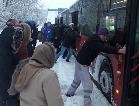 autobus-dobanovci-611-foto-tanjug-jovana-pejcinovic.jpg