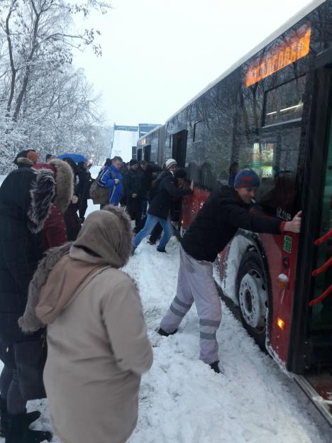 autobus-dobanovci-611-foto-tanjug-jovana-pejcinovic-2.jpg