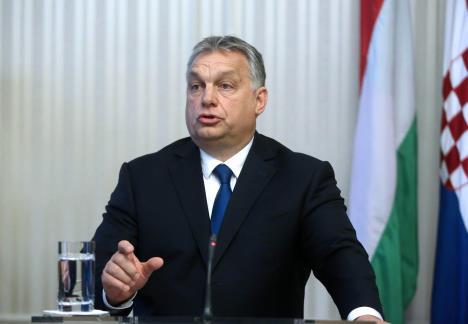 orban-beta.jpg