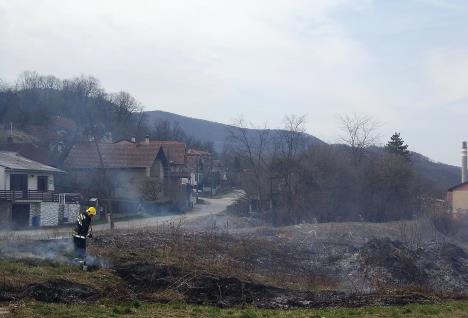 loznica--nema-veze-sssto-su-kuce-blizu.jpg