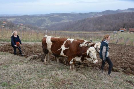 loznica--na-snimanju.jpg