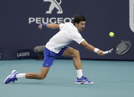 nole01.jpg