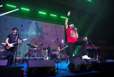 img-1588large.jpg