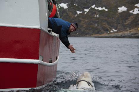 ap-joergen-ree-wiig-norwegian-direcorate-of-fisheries-sea-surveillance-unit03-ap-joergen-ree-wiig.jpg