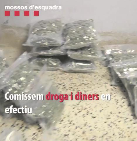 1201-droga.jpg