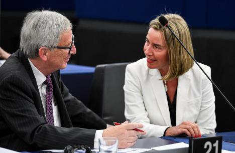 junker-i-mogerini.jpg