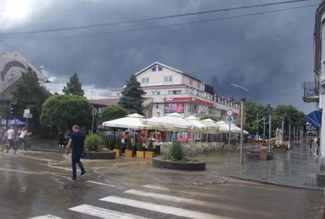 loznica--kissa.jpg