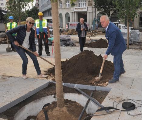 sadjenje-drveca-na-trgu-republike----13---0206-2019.jpg