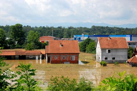 0601-kraljevo-1-2.jpg