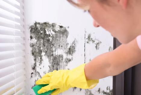 Žena riba buđ na zidu