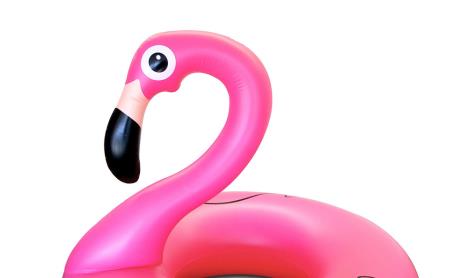 1flamingo.jpg