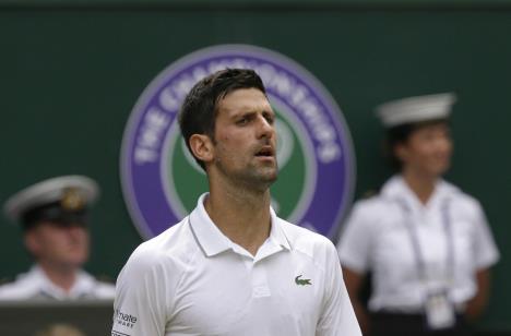 novak01.jpg