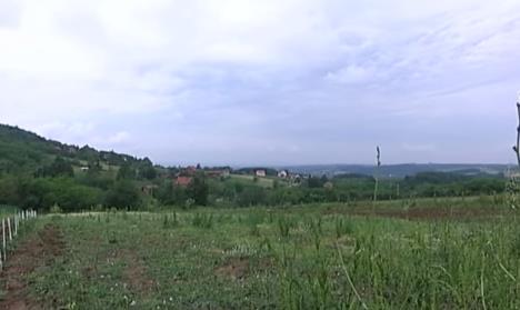 PEVAČ NAPUSTIO BEOGRAD, PA ZASADIO LUBENICE! Ivan izgradio vilu na Kosmaju, a evo s kojim glumcima se takmiči čije voće je bolje rodilo! (FOTO)