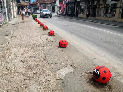 loznica--u-centru-grada.jpg