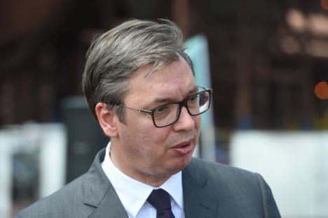 tanaleksandarvucic1.jpg