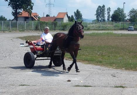 loznica--mozze-i-ovako.jpg