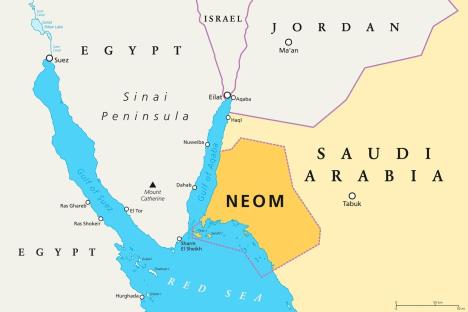 profimedia0413809299-neom.jpg