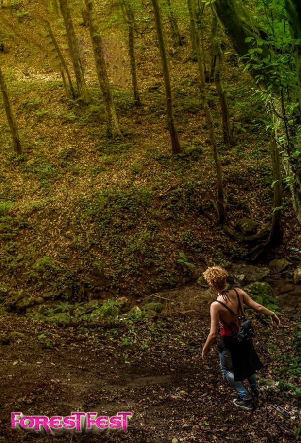 forest-fest.jpg