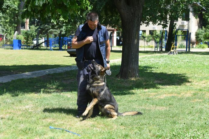 policijski-psi-43-news1-zorana-jevtic.jpg