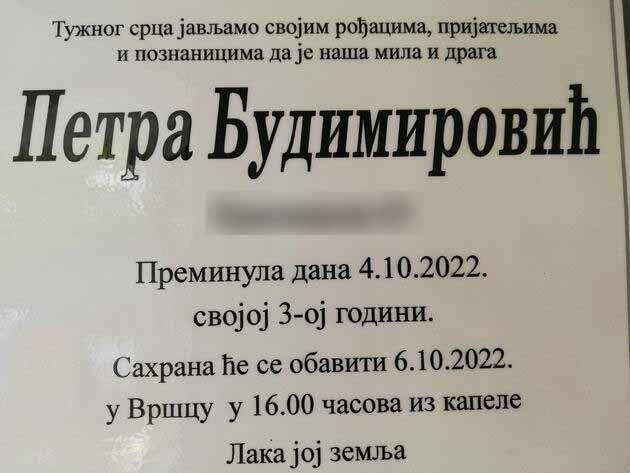 3199357-suzanabudimiroviccitulja-edit.jpg
