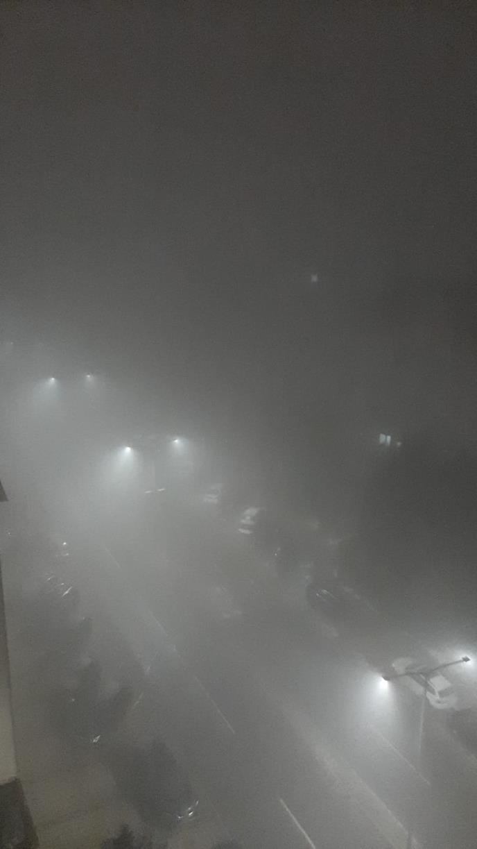 WhatsApp Image 2025-01-01 at 00.22.52_cfee2d04.jpg