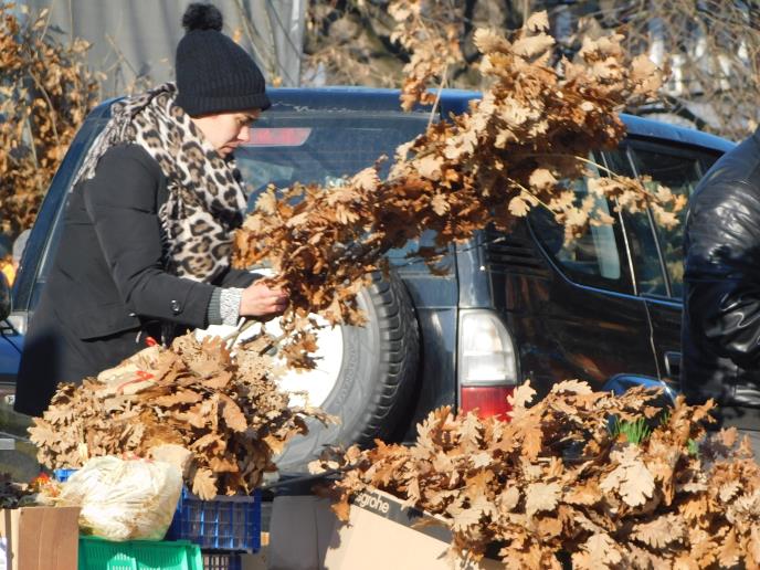 LOZNICA - Kupovina.JPG