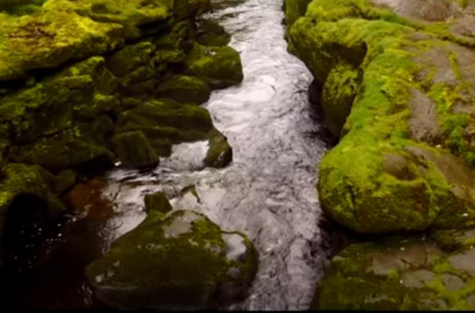 Reka Vorf važi za najopasniju reku na svetu 2.jpg