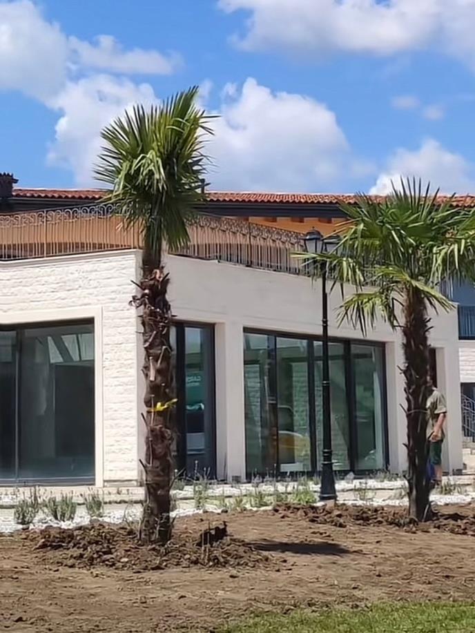 WhatsApp Image 2025-01-27 at 3.28.07 PM (2).jpeg