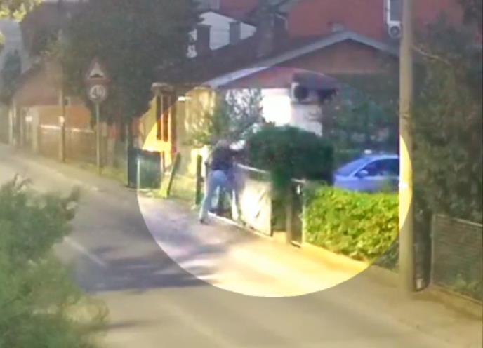 2025-02-10 09_52_59-Media Player.jpg