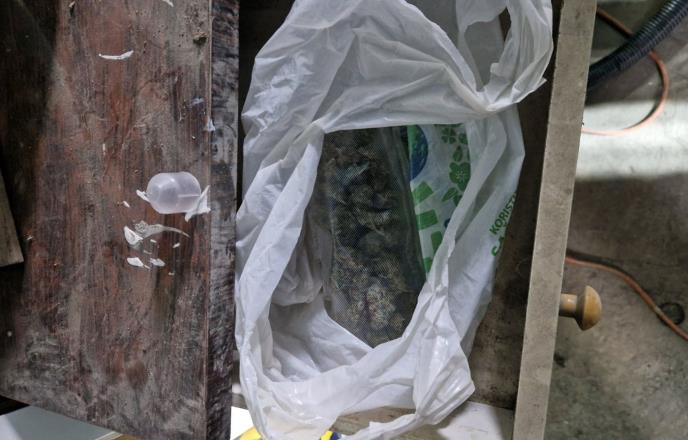 WhatsApp Image 2025-03-01 at 7.34.45 PM.jpeg