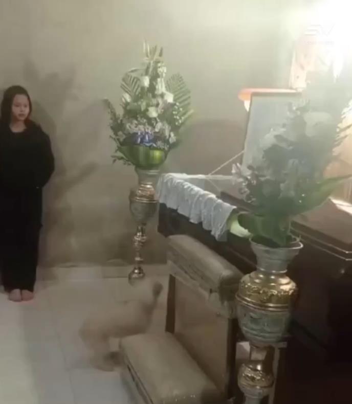 Screenshot 2025-03-24 163856.jpg