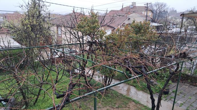VRANJE3.jpg