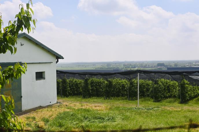 1803 marko karovic (2).jpg