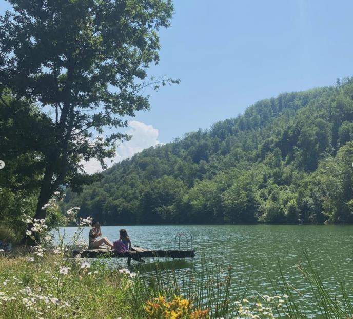 Screenshot 2025-05-13 120101.jpg