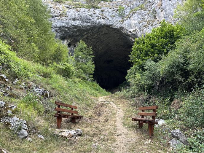 1747412599_1692708528_cajetina-prerast-dobroselica-cudo-fotorina7.jpg