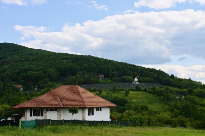 marko karovic (2).jpeg