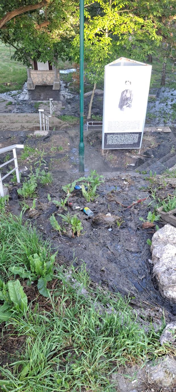 fekalije u Mladenovcu.jpg